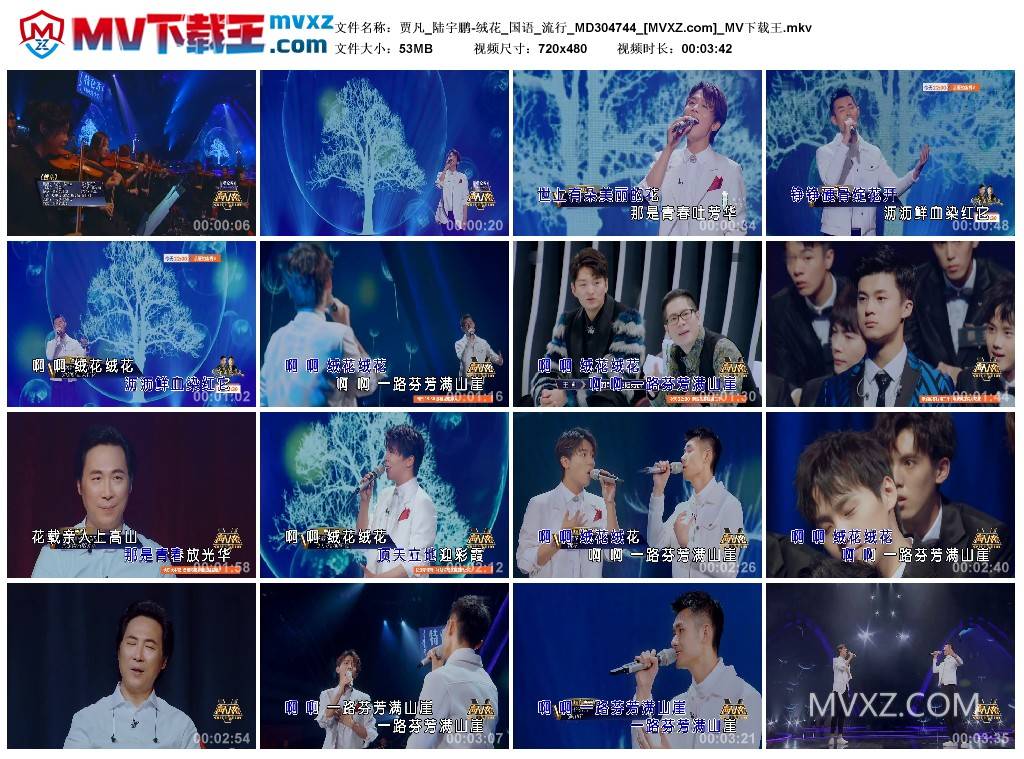 贾凡_陆宇鹏-绒花_国语_流行_MD304744